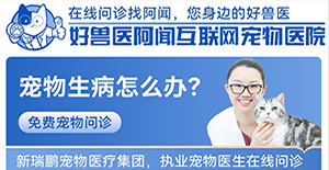 聯動愛寵狂歡節！好獸醫阿聞互聯網（wǎng）寵物醫院9月限時免費問（wèn）診