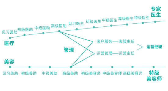 培訓晉級路徑