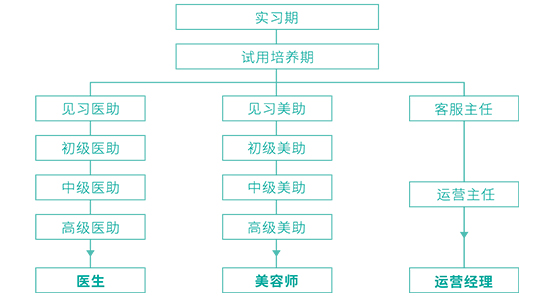 實（shí）習生培訓晉級路徑